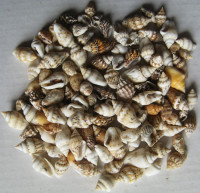 Více než 100 kusů